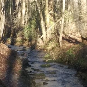 Meet your Posher, Kay